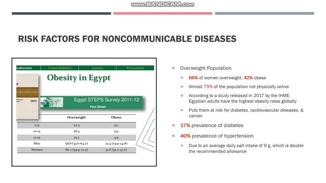 PH 120 Presentation - Health Profile: Egypt смотреть онлайн