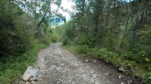 Велопутешествие на Алтай. День 14. Ороктойский перевал. Часть 2