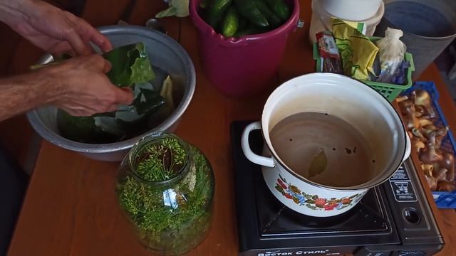 РЕЦЕПТ ХРУСТЯЩИХ МАЛОСОЛЬНЫХ ОГУРЦОВ. Простой и вкусный рецепт.#рецепт #огурцы малосольные #вкусно смотреть онлайн