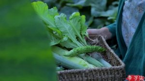 "Red Sapphire Tomato Sauce"| 抢在番茄掉果之前，全收回来弄点好吃的——红宝石番茄酱 | Liziqi Channel