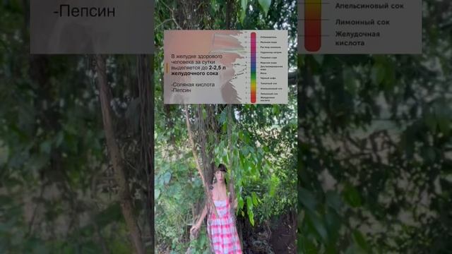 Желудочный сок #катярадуга #здоровье #зож #raduga #радуга #жкт #желудок #пищеварение смотреть онлайн
