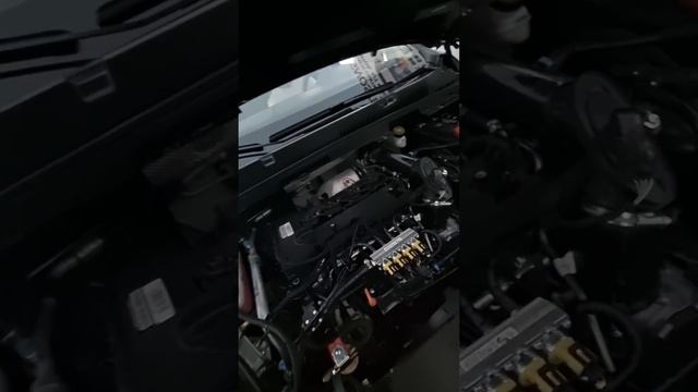 Cerri 6 pro GBO propan ustanofka evro4+ 997210515 902208887 смотреть онлайн