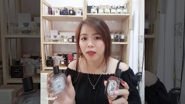 Review Nhẹ Về Doson Và Tamdao - Đánh Giá Nước Hoa Đồ Sơn Và Tam Đảo Từ Nhà Diptyque смотреть онлайн