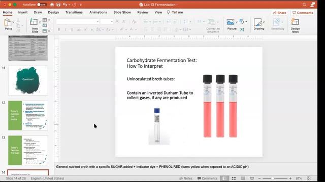LAB: Fermentation (3/24/21) смотреть онлайн