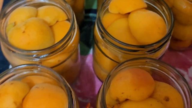 Смешные эксперименты