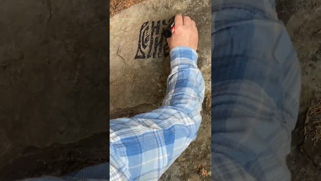 ВСЁНИЧЕГО БОРДЖОМИ