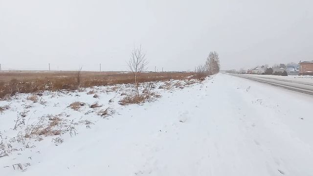 50657408 смотреть онлайн
