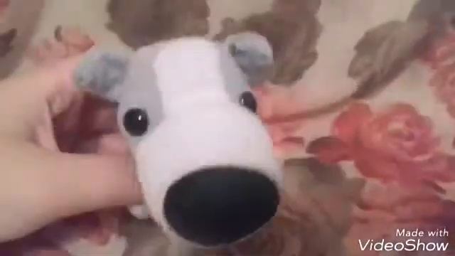 13 типов людей в the dog/cat collection группах/the dog смотреть онлайн