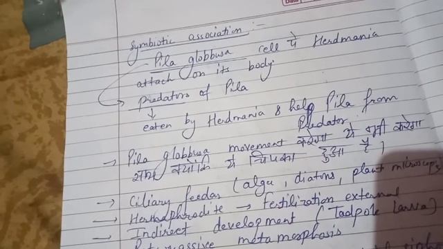 Herdmania part 1 смотреть онлайн