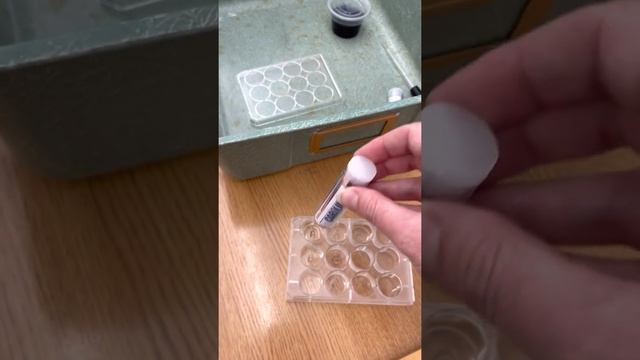 PH lab instructions смотреть онлайн