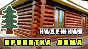 Это навечно! Пропитка и покраска деревянного дома снаружи своими руками