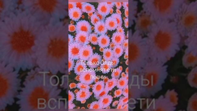 ☘️❤Только роды вспомнят ети песни 🌸🙃 смотреть онлайн