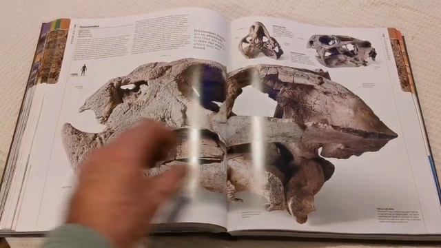 Dinosaurs & Prehistoric Life/ Paging Through смотреть онлайн