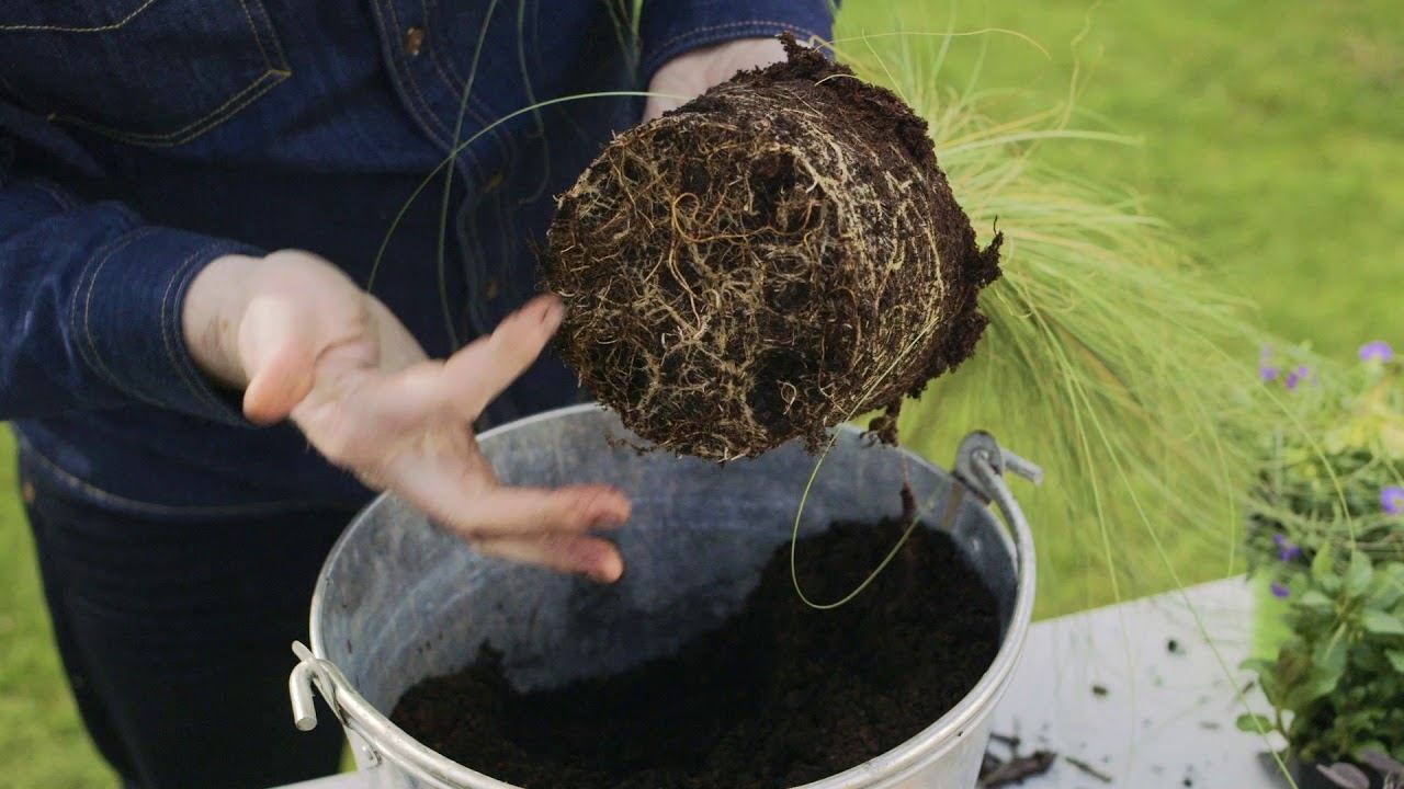 GroMór Gardening Guides: Give your Garden bucketloads of Biodiversity! смотреть онлайн