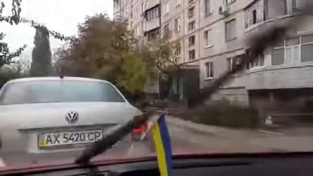 Ах, эти забавные животные! смотреть онлайн