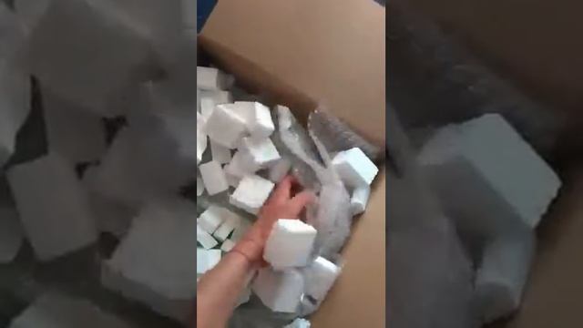 Одноразовая посуда для ивентов смотреть онлайн