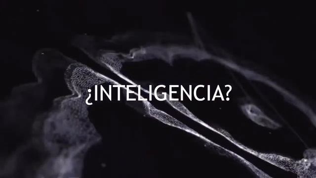 ITBA | Analítica: Descubriendo el mundo de los datos смотреть онлайн