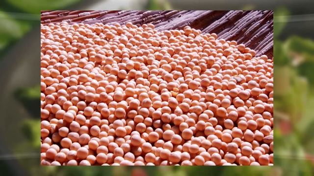 Cholesterol Lowering Foods Documentary смотреть онлайн