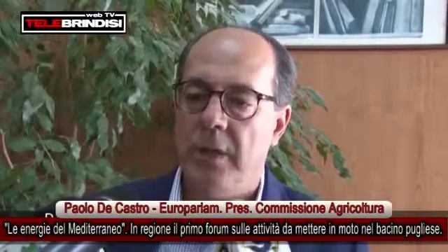 ''Le energie del Mediterraneo''. In regione il primo forum sulle attività da mettere in moto nel ba смотреть онлайн