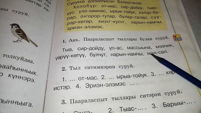 Тыл, паараласпыт тыл.