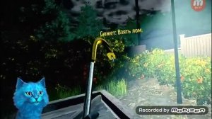 Котёнок лайк приколы