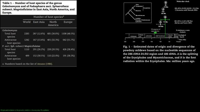 Why is Powdery Mildew? Highly Adaptive Genome Transforms Decomposer to Pathogen смотреть онлайн