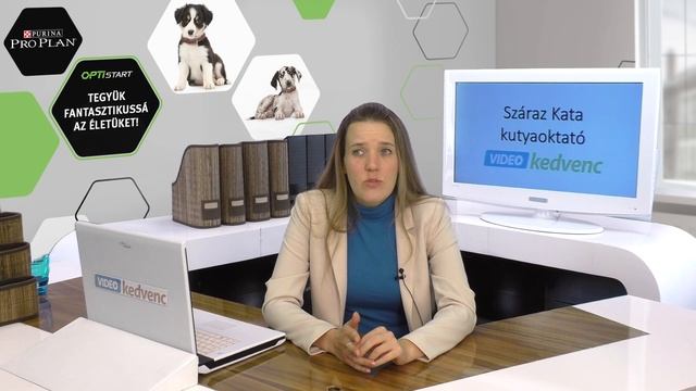 Baj ha ugat a kutya a kerítés mellett? смотреть онлайн