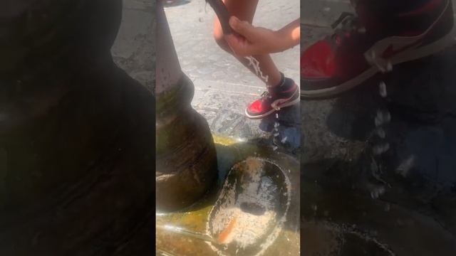 Different types of water fountains in Italy #italy #waterfountain #funny смотреть онлайн
