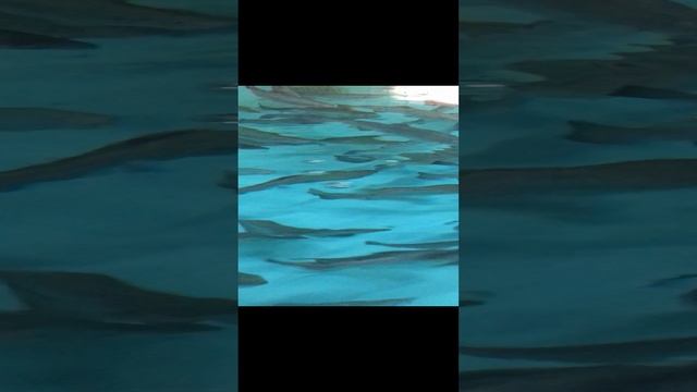 Экоферма “Форель” смотреть онлайн