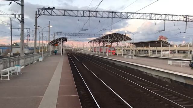 Дятел)) смотреть онлайн