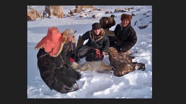 Falconry Heritage Session - Lauren McGough, Ph.D. - The Archives of Falconry, 2022 Spring Rendezvou смотреть онлайн