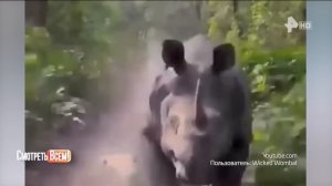 Смотреть всем 25.03.2024