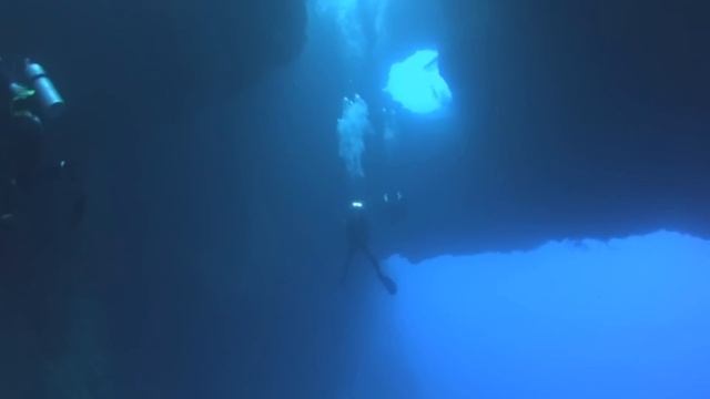 Scuba Diving in Palau смотреть онлайн