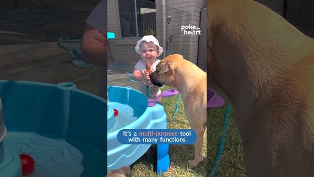 Toddler Laughs Hysterically While Drinking Water From Hose With Dog смотреть онлайн