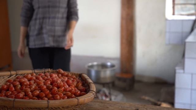 羊奶果——想到名字就酸到流口水的水果【滇西小哥】