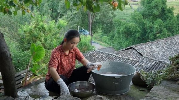 Finding Diguo (Ficus tikoua var.) as a child was an amazing thing, and it still is as an adult!