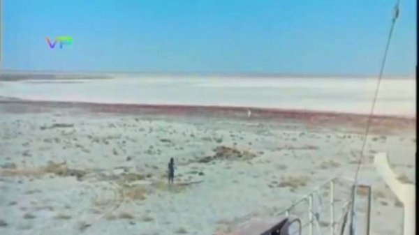 Звезда по имени Солнце- ПАНК-РОК кавер