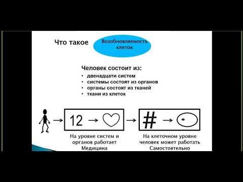 Концепция здоровья. Мария Колтакова. 01,04,2020 смотреть онлайн