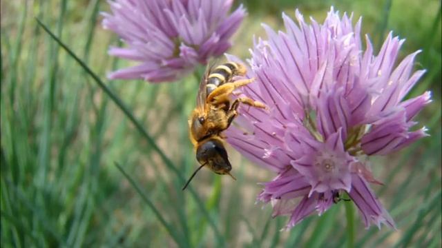 Я живой, настоящий! 22.05.2016 смотреть онлайн
