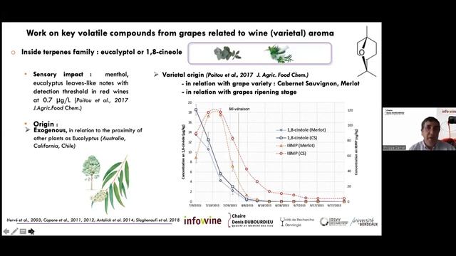 Componenti del vino e tipicità aromatica varietale смотреть онлайн