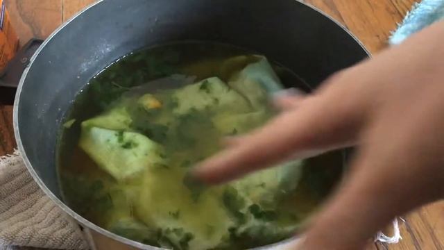 Fresh Leaf Indigo dyeing a few ways смотреть онлайн