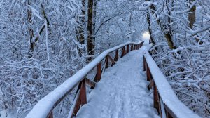 Варвара Визбор _А Зима Будет Большая