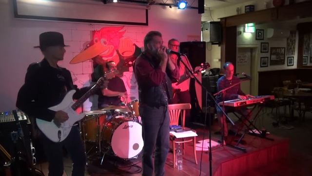 Indigo Duck - San Francisco Bay Blues смотреть онлайн