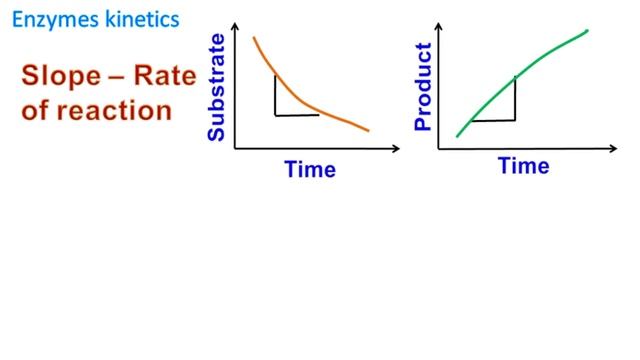 Enzyme kinetics смотреть онлайн
