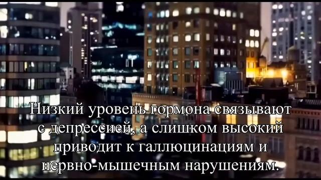 Как бороться с похмельным стыдом — Статья смотреть онлайн