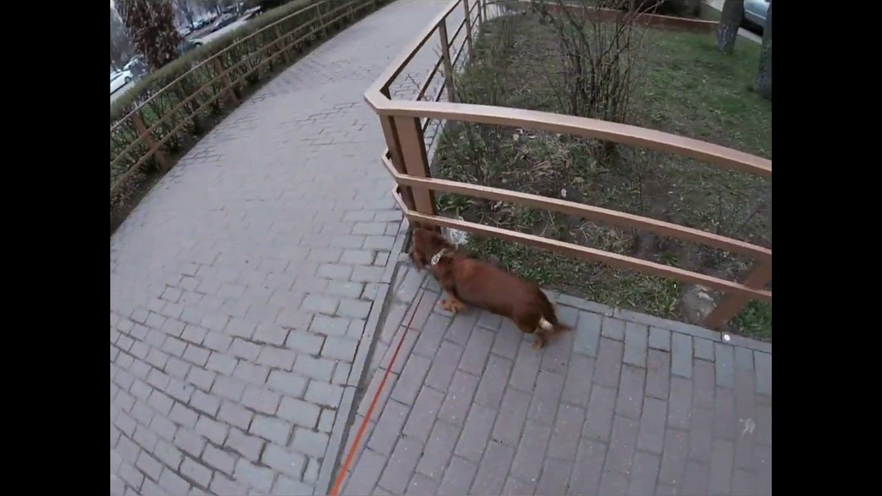 Первое утро Смутного времени смотреть онлайн