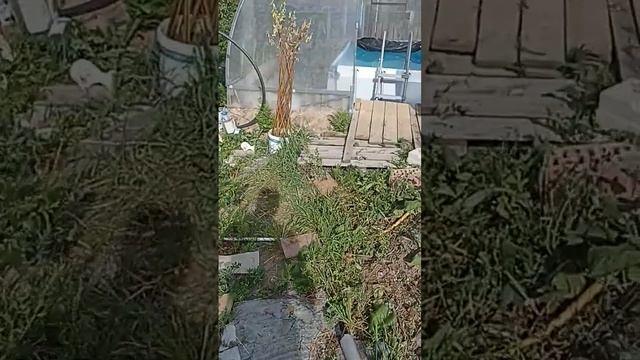 Температура в каркасном бассейне под поликарбонатом. Екатеринбург. смотреть онлайн