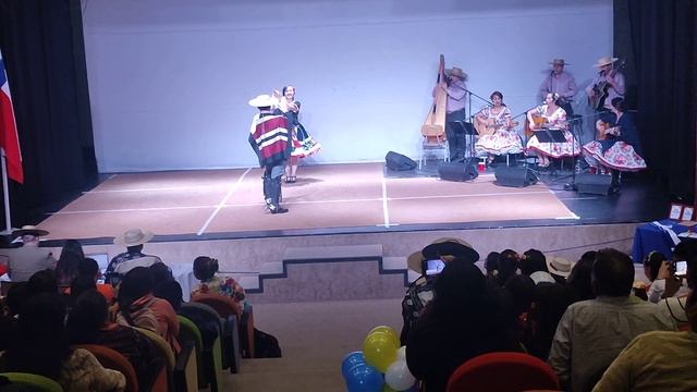 300923 Entrega ELYTS Región de los Ríos DobleS PH y NR смотреть онлайн