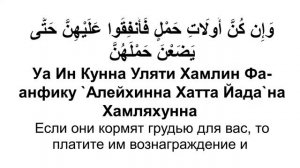 Сура 65 ат-Таляк - Мишари Рашид