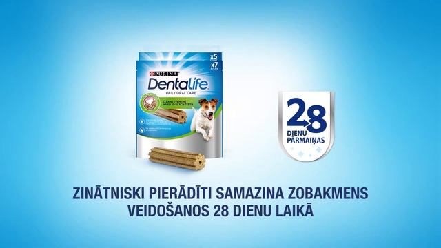 Purina Dentalife – Tas ir tik VIENKĀRŠI! смотреть онлайн